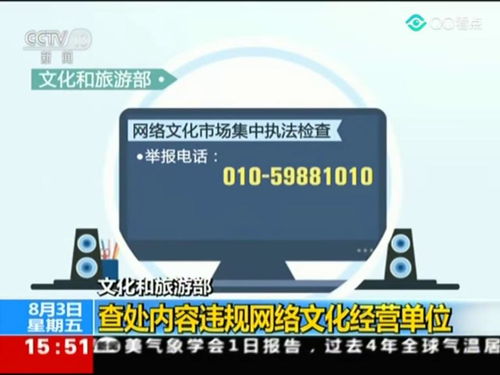 文化和旅游部嚴查網絡文化經營違規行為，推動行業健康發展