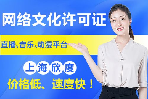 2020年上海網(wǎng)絡(luò)文化經(jīng)營許可證申請材料及其他文網(wǎng)文詳情